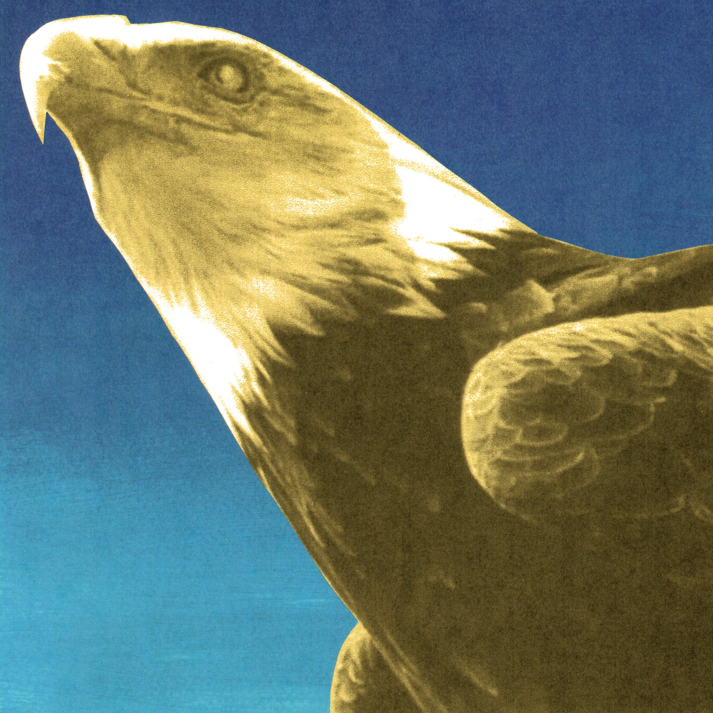 Protomartyr - Hotel Usona south records 2026