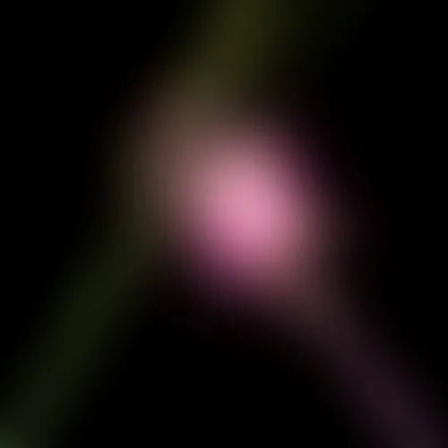 Various - Wicked For Good The Soundtrack