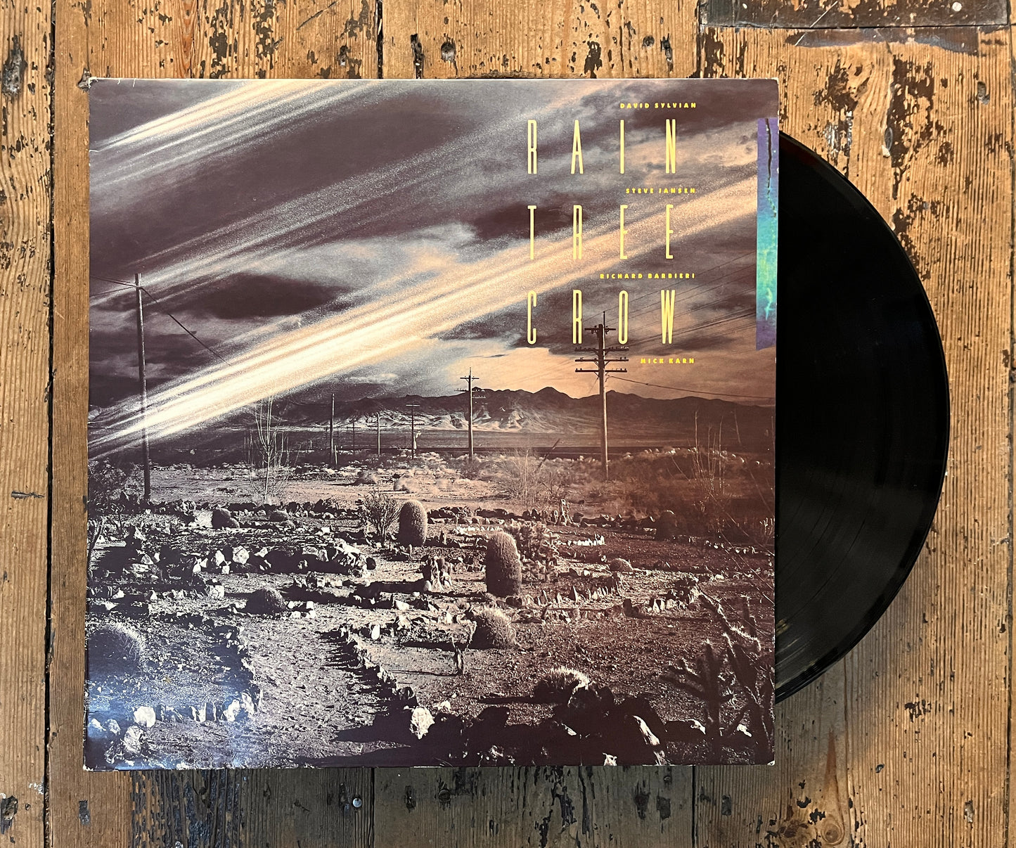 Rain Tree Crow - Rain Tree Crow