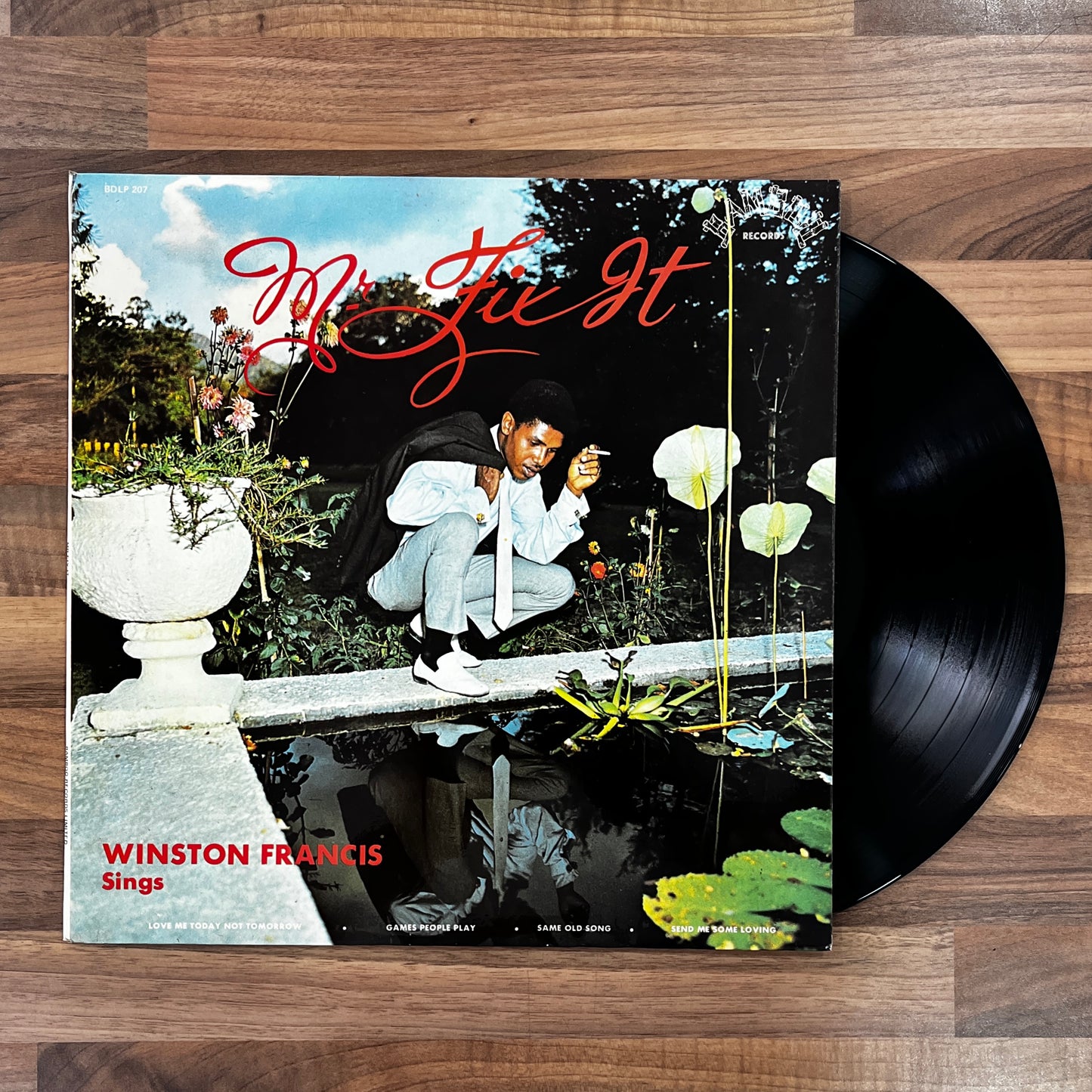 Winston Francis - Mr Fix It