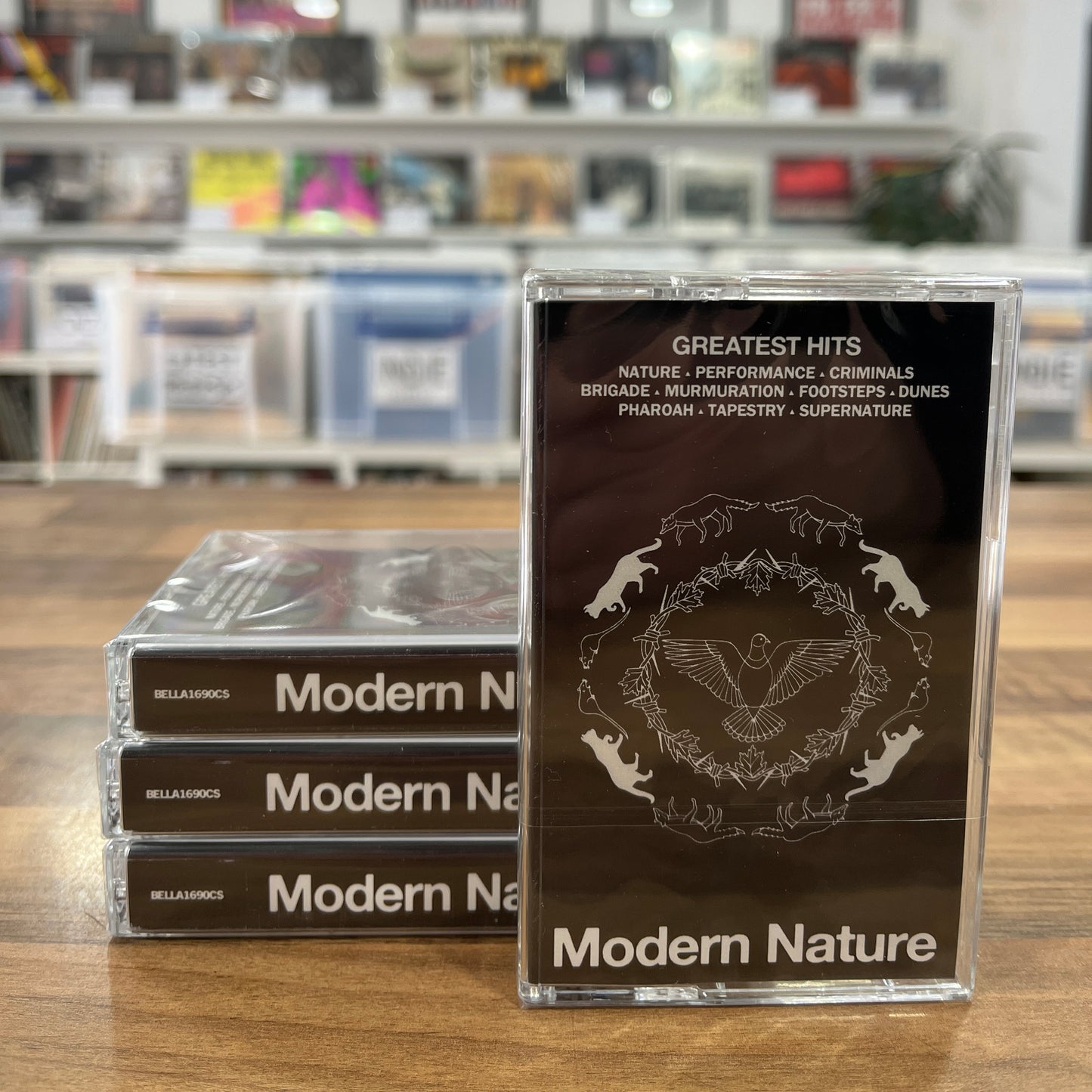 modern nature greatest hits cassette tape south records southend