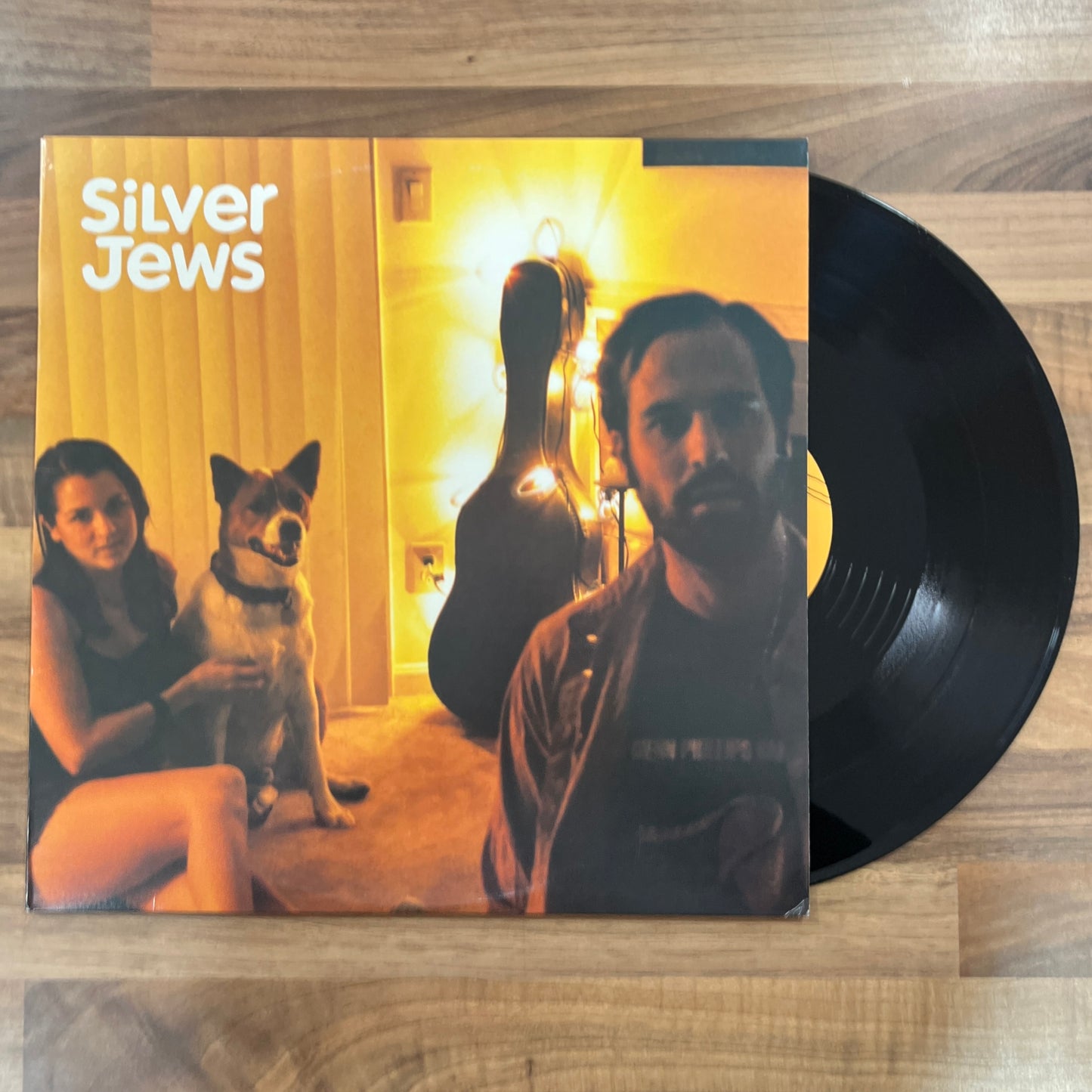 Silver Jews - Tennessee first pressing vinyl south records southend