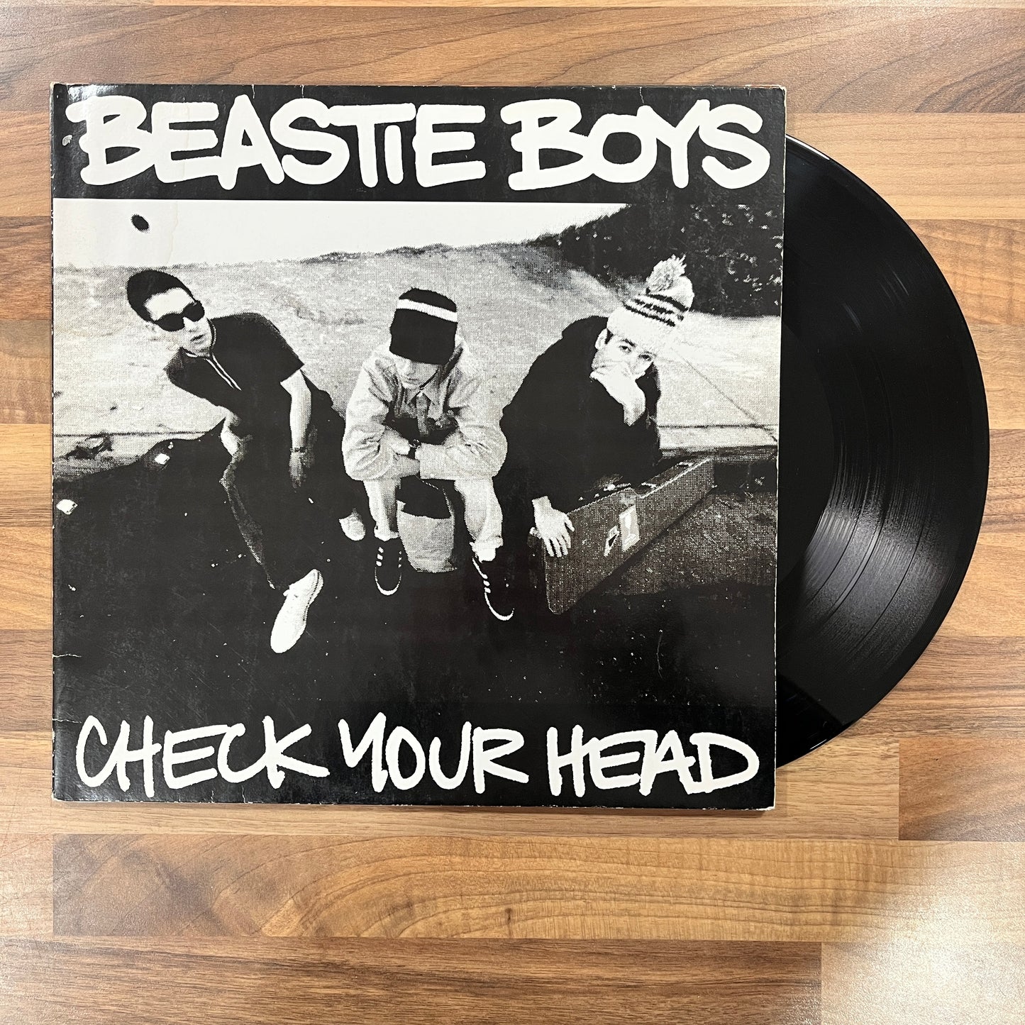 beastie boys check your head south records southend original first pressing vinyl