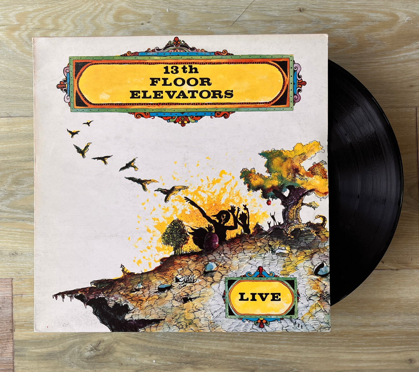 13th Floor Elevators - Live - South