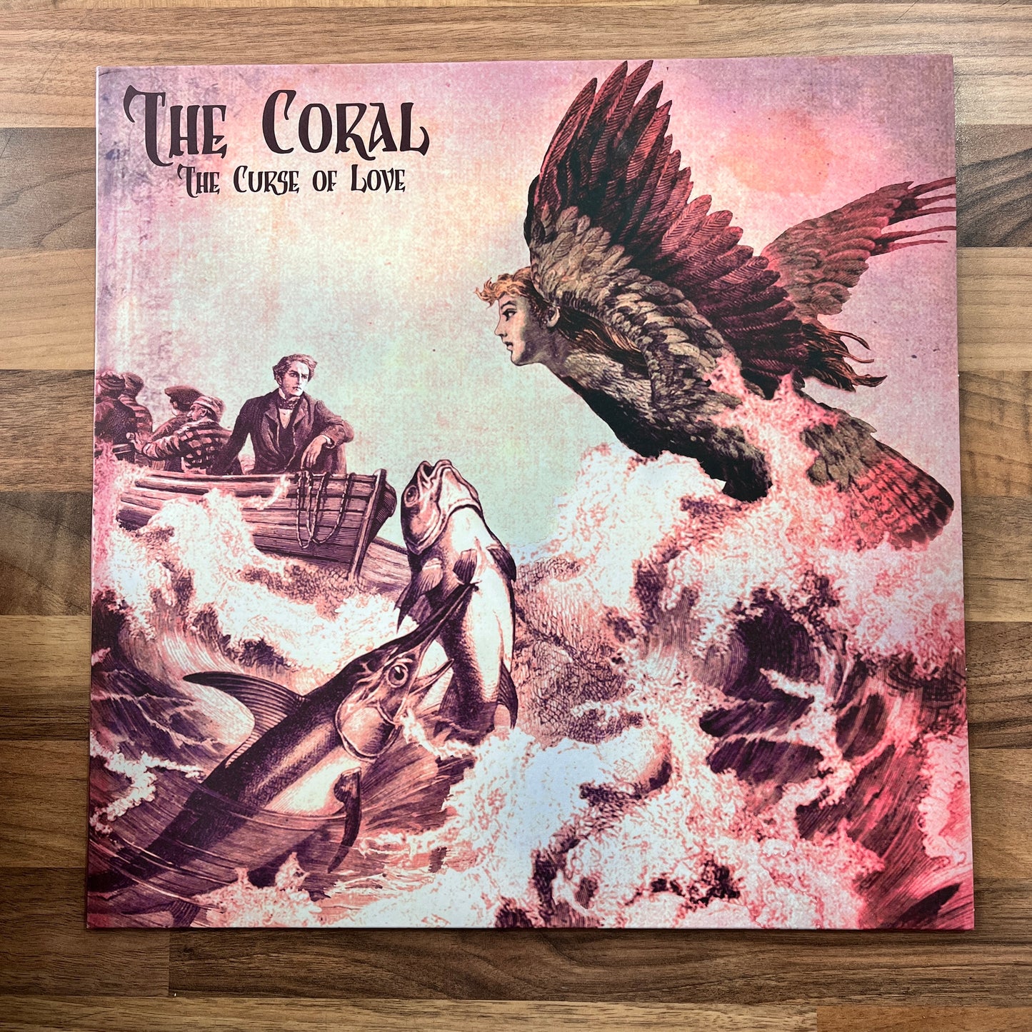 The Coral - The Curse of Love - South