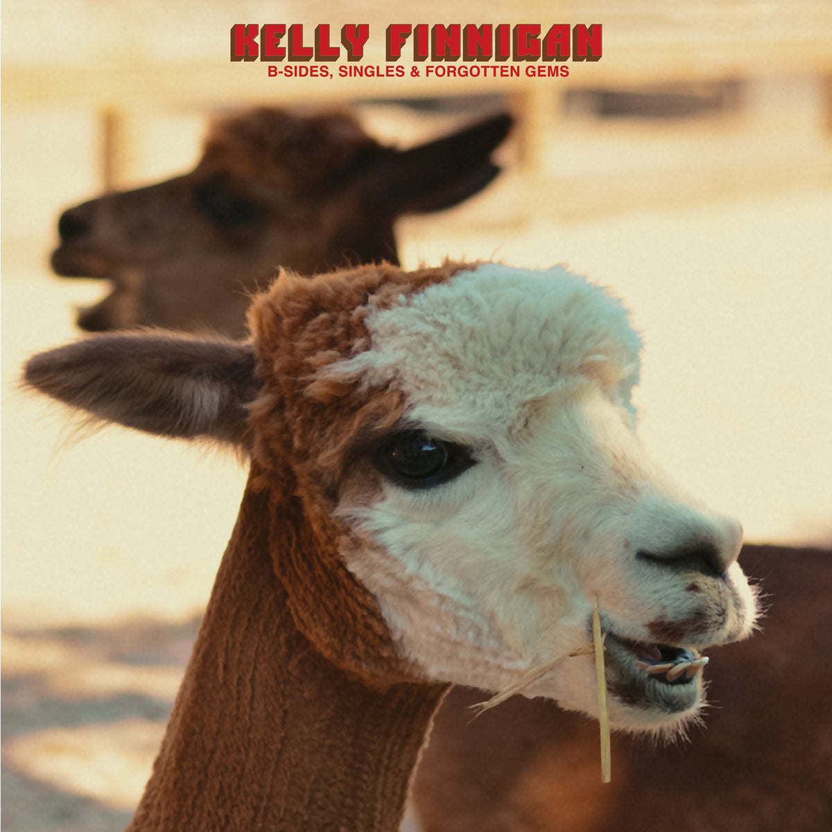 Kelly Finnigan - B-Sides, Singles & Forgotten Gems - South