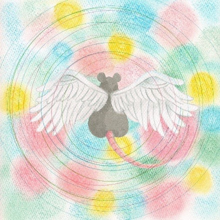 Mei Semones Animaru album on bayonet 2025 south records southend