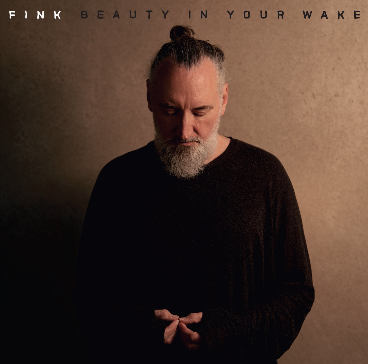 Fink - Beauty in your Wake