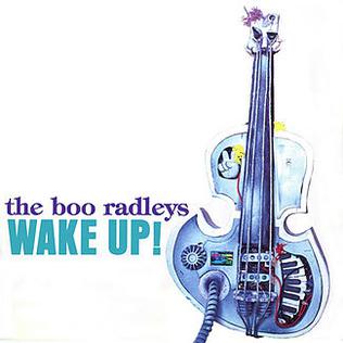 the boo radleys wake up south records southend