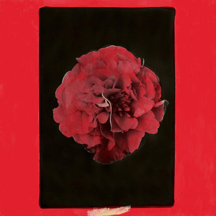 Activity - A Thousand Years In Another Way