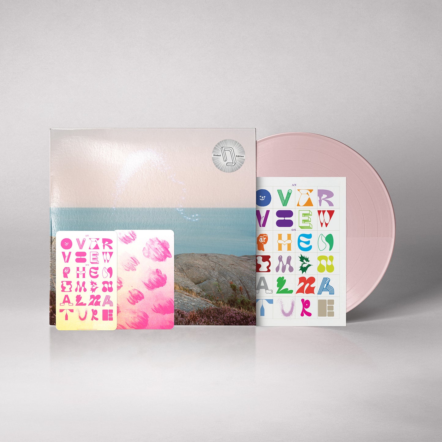 Cassandra Jenkins - An Overview on Phenomenal Nature