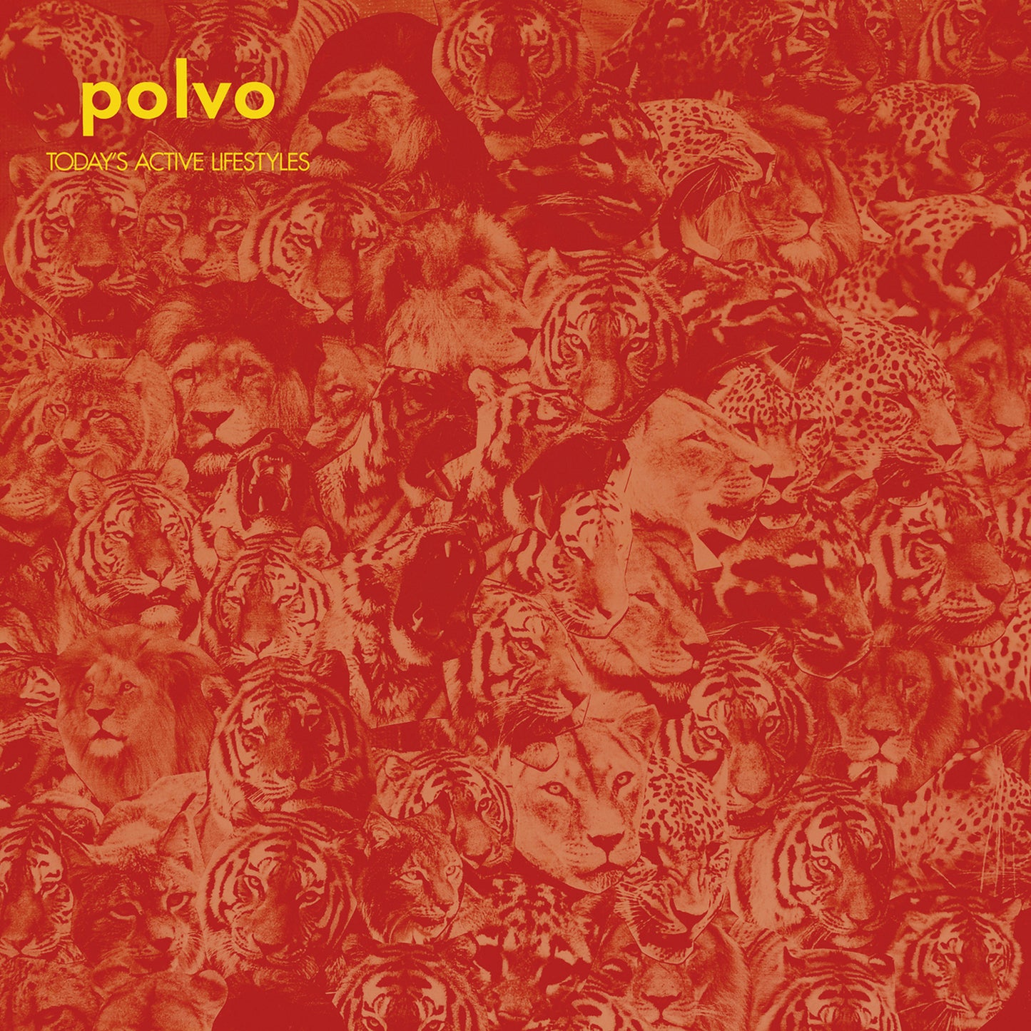 Polvo - Today's Active Lifestyles - South