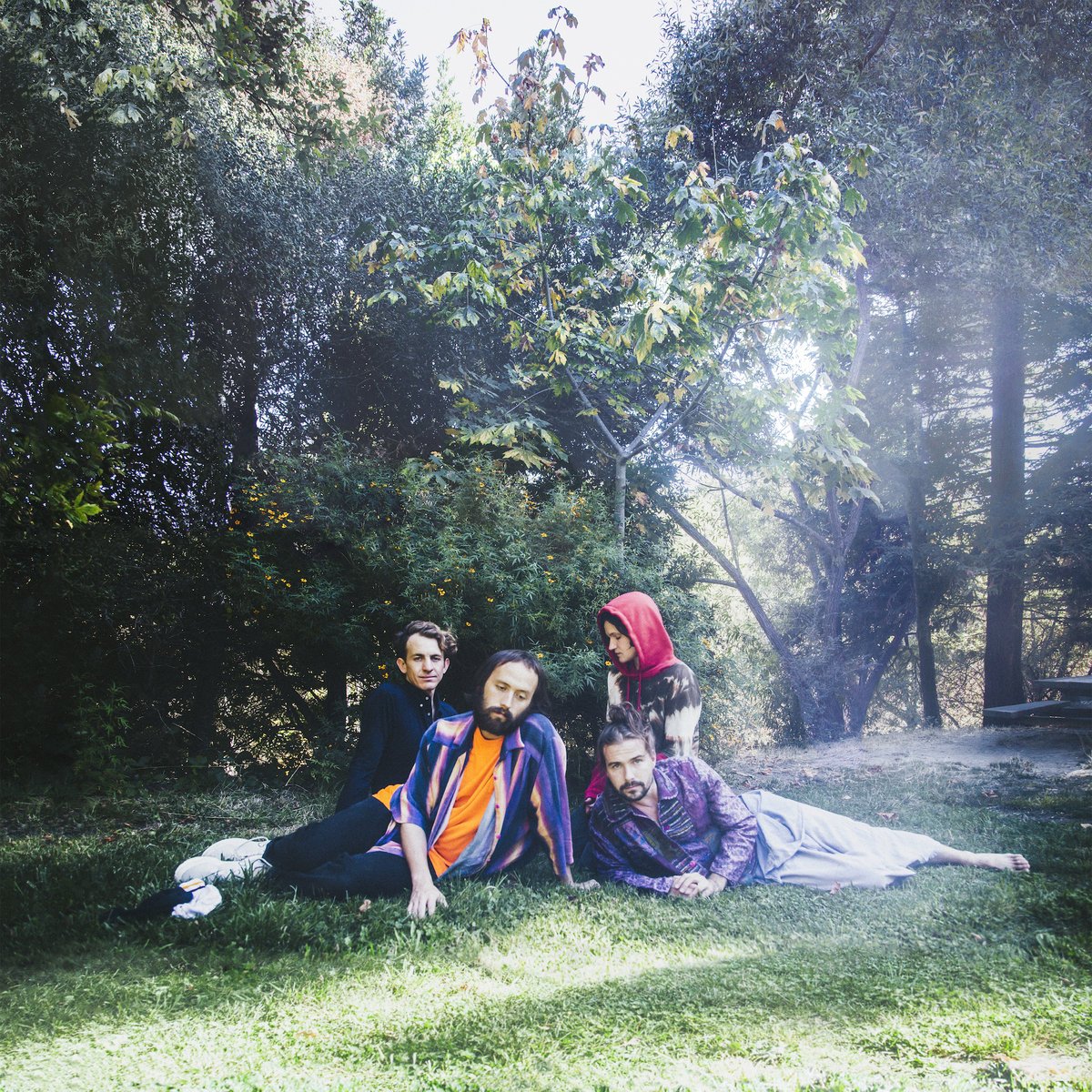Big Thief - U.F.O.F-LP-South