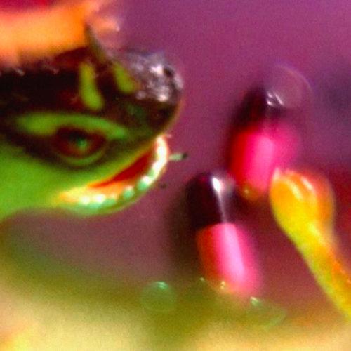Bush Tetras - Take The Fall-LP-South