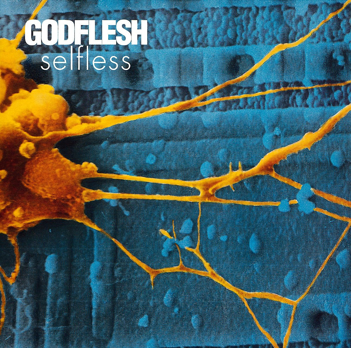 Godflesh - Selfless-LP-South