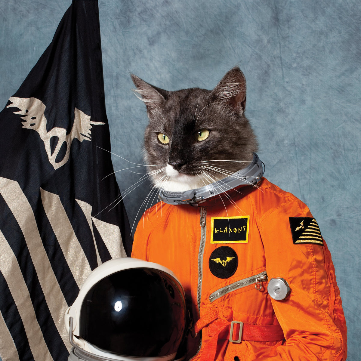 Klaxons - Surfing The Void