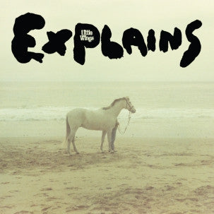 Little Wings - Explains-Vinyl LP-South