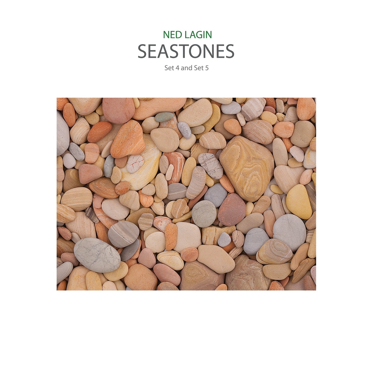 Ned Lagin - Seastones - South