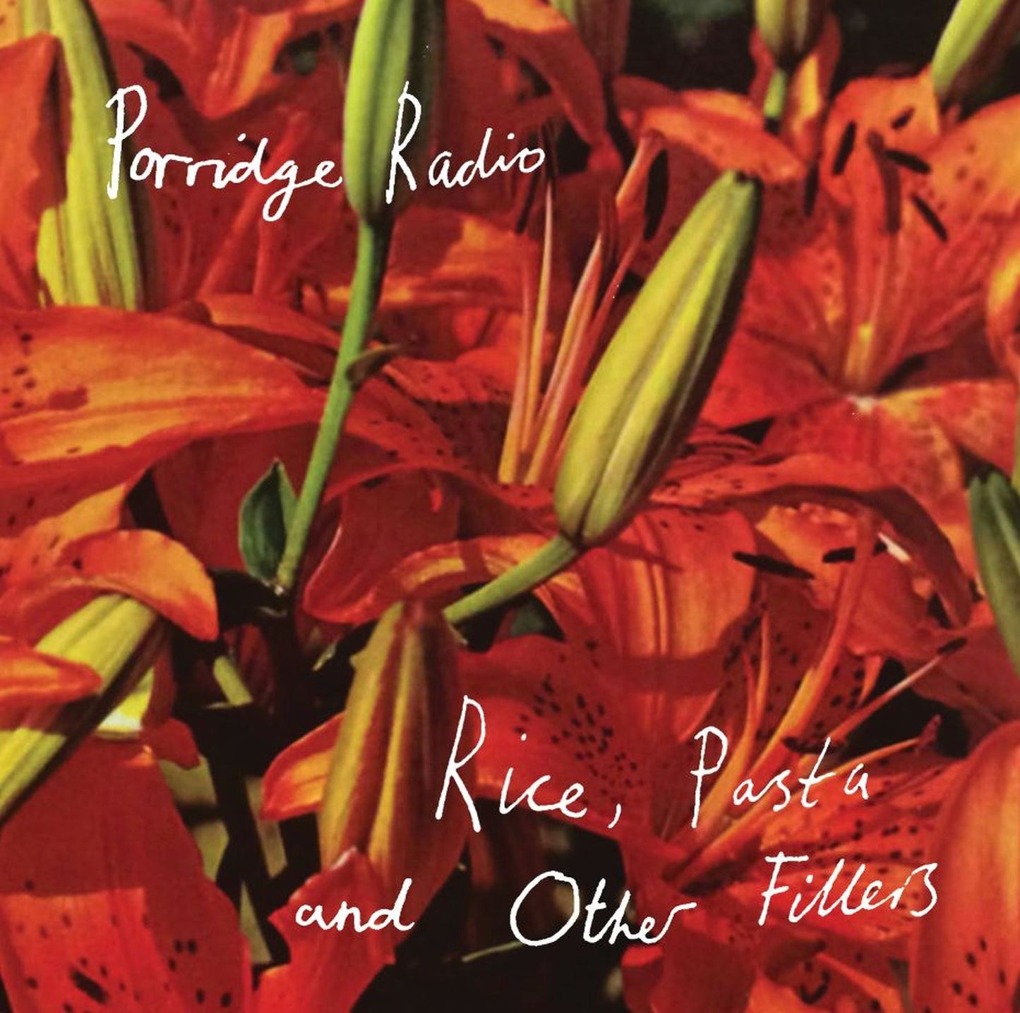 Porridge Radio - Rice, Pasta And Other Fillers - South