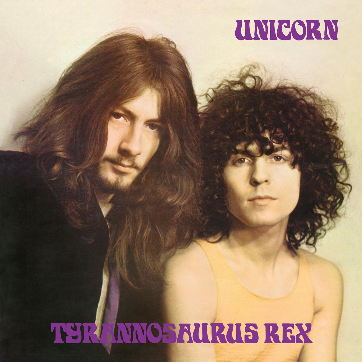 Tyrannosaurus Rex - Unicorn