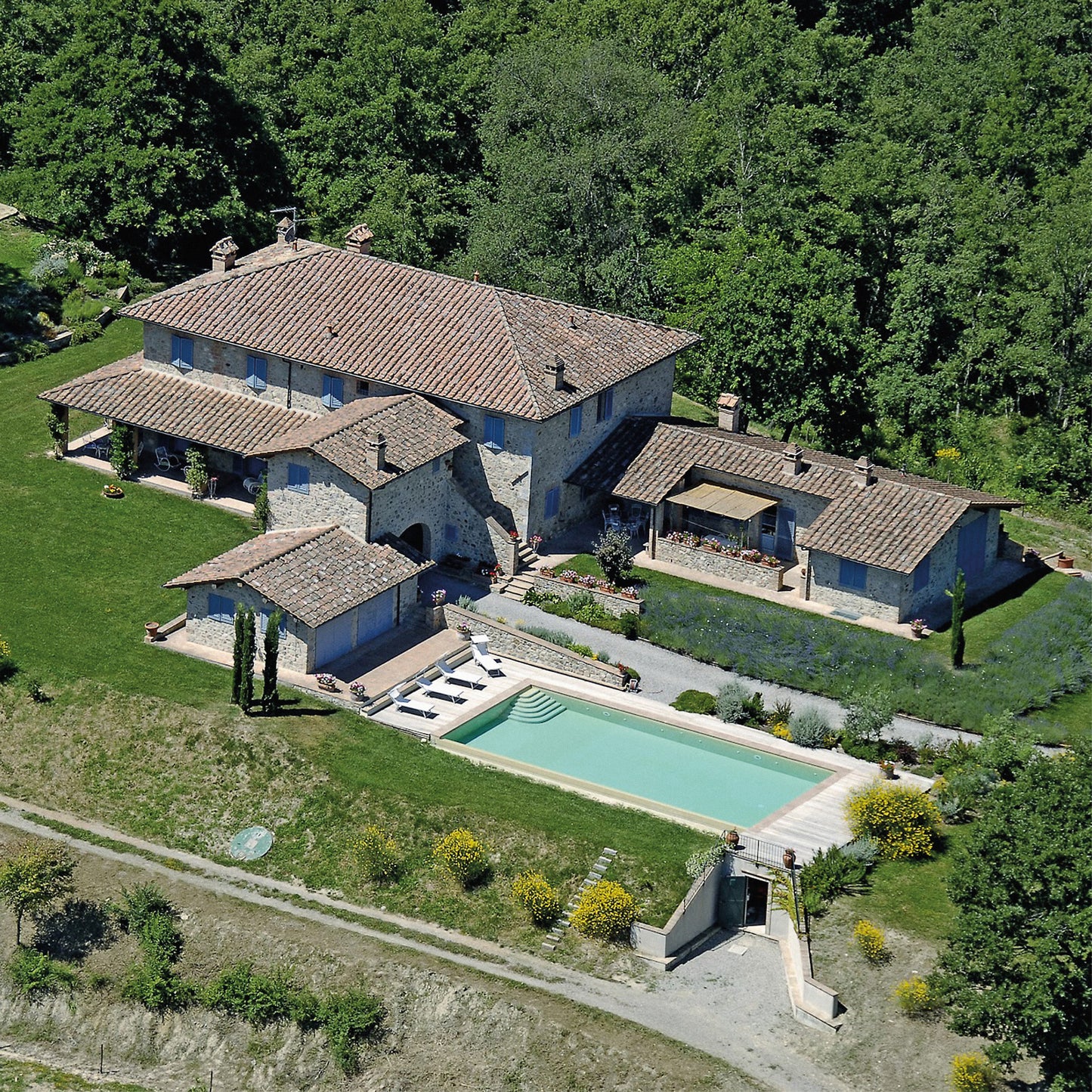 Vision Fortune - Country Music-Vinyl LP-South