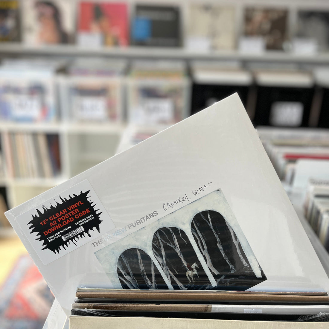 If you remember I forgot how to dream