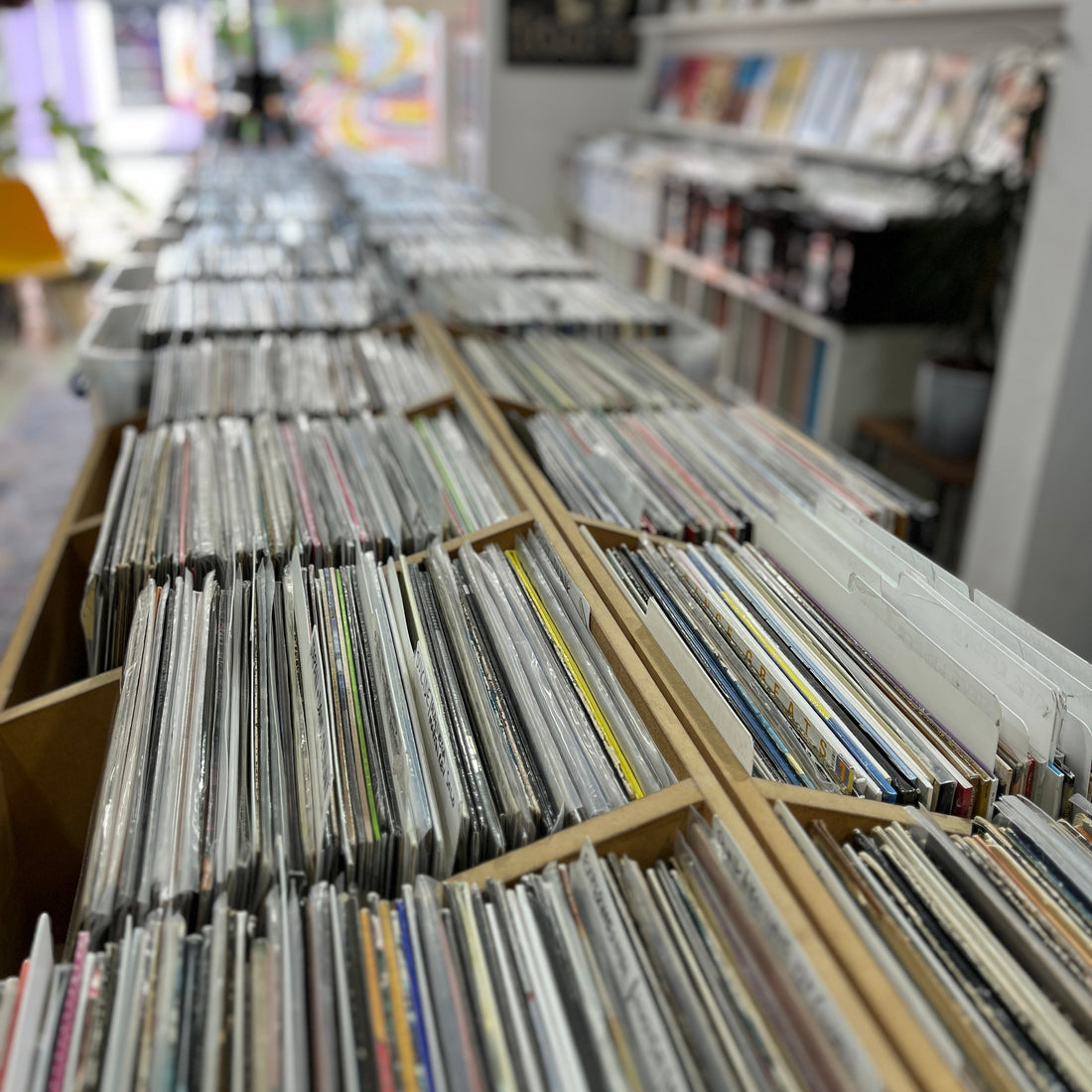 The vinyl racks at South Records, Southend