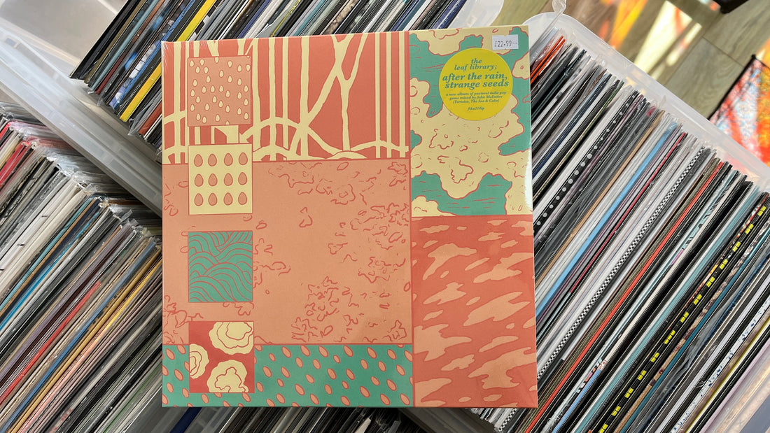 Still and moving: This week at South Records