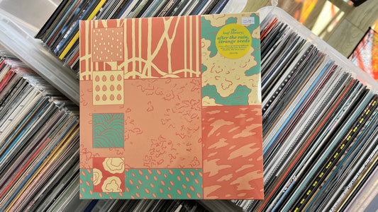 Still and moving: This week at South Records