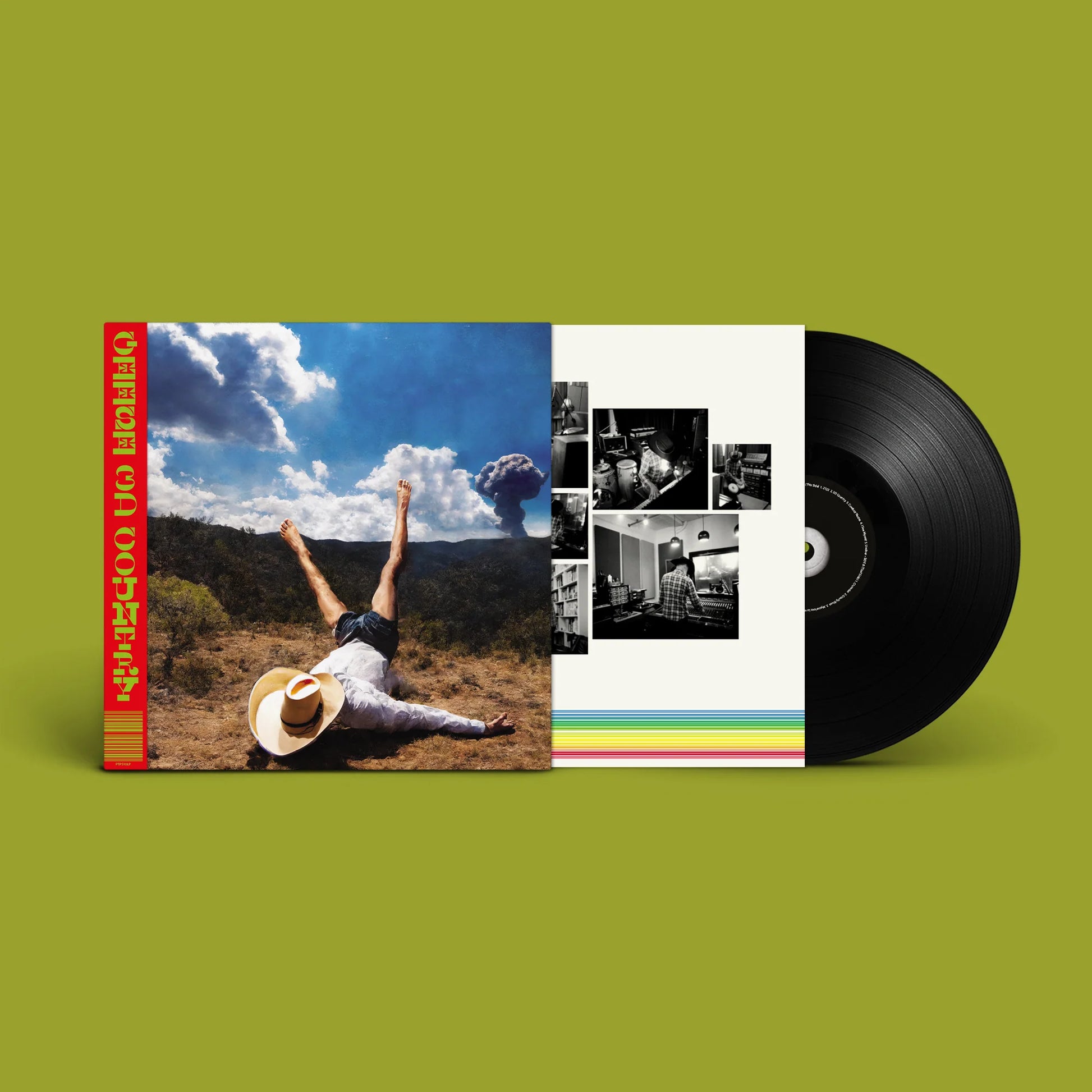 Geese - 3D Country vinyl