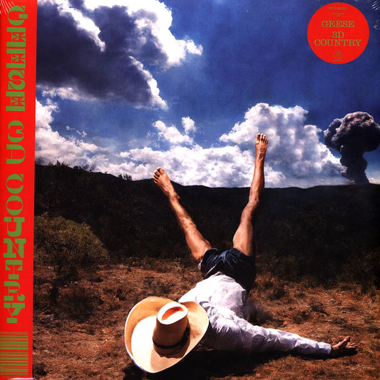 Geese - 3D Country album artwork