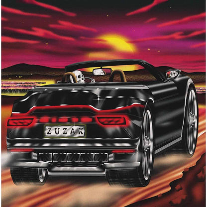 Damaged Bug - Zuzax album artwork