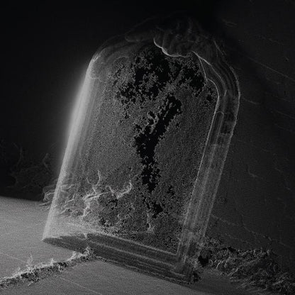 Visible Cloaks - Paradessence album artwork