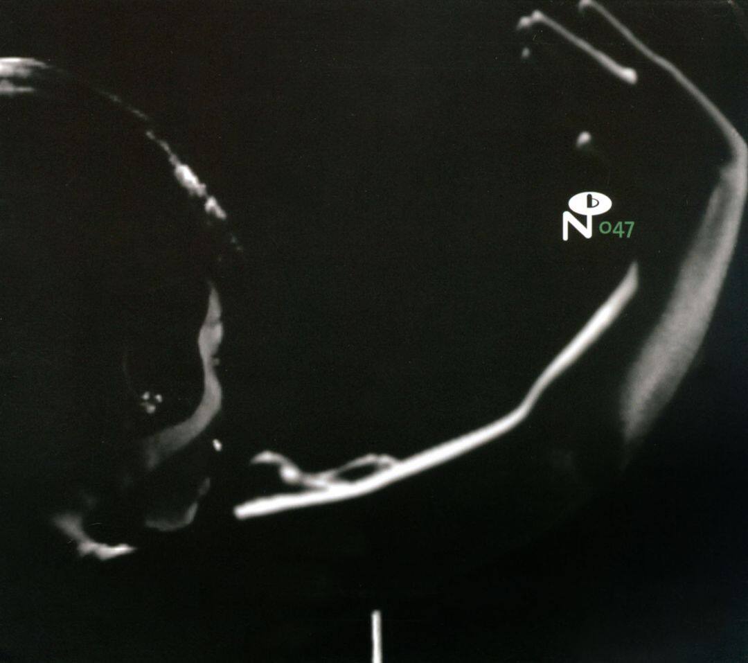 numero group forte label south records southend