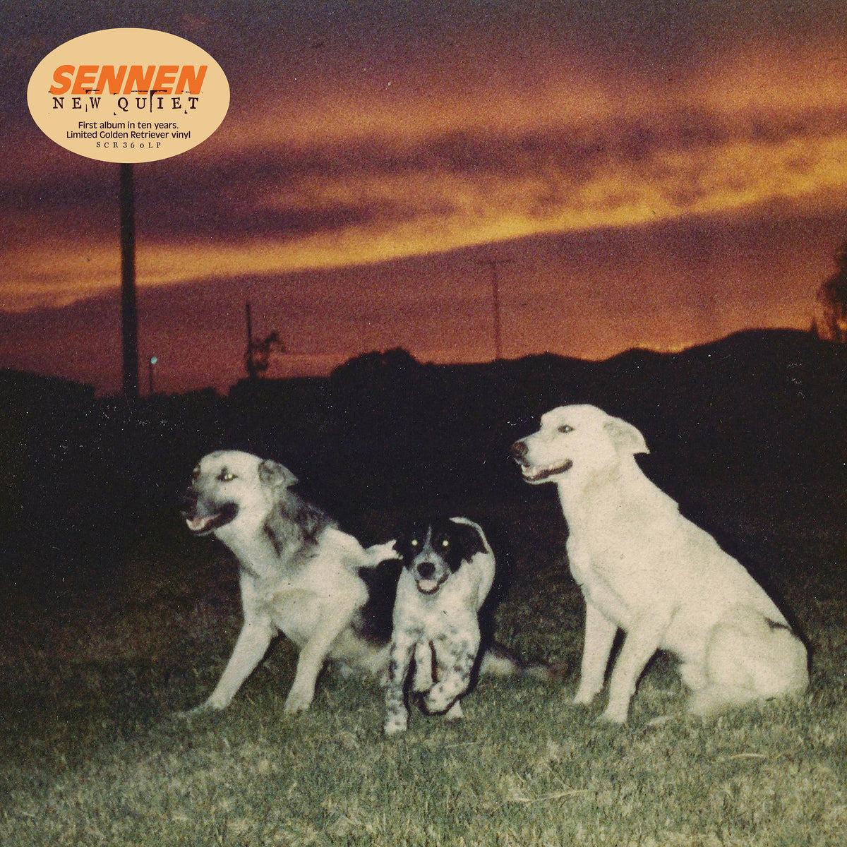 sennen new quiet south records 2026