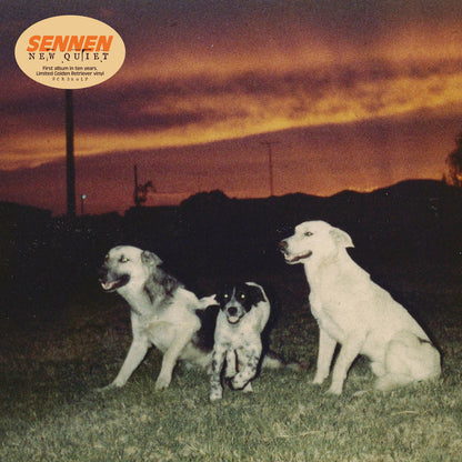 sennen new quiet south records 2026