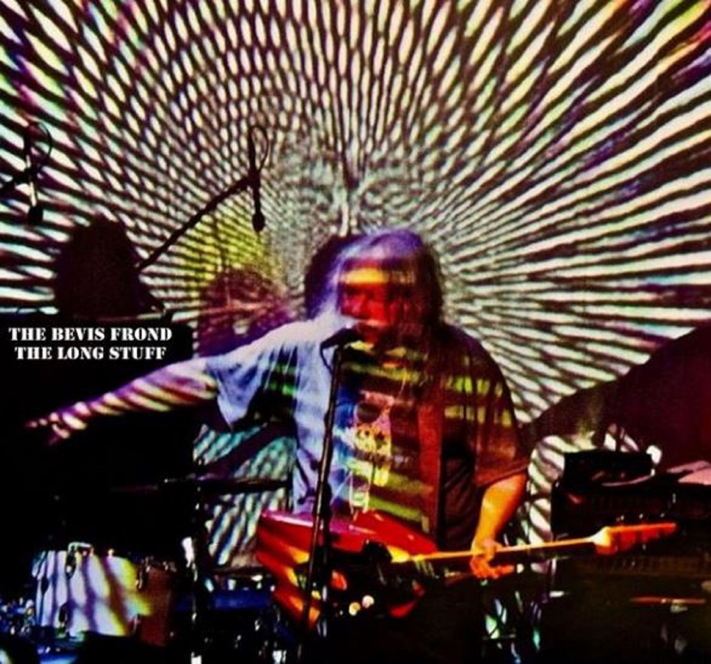 The Bevis Frond - The Long Stuff - South