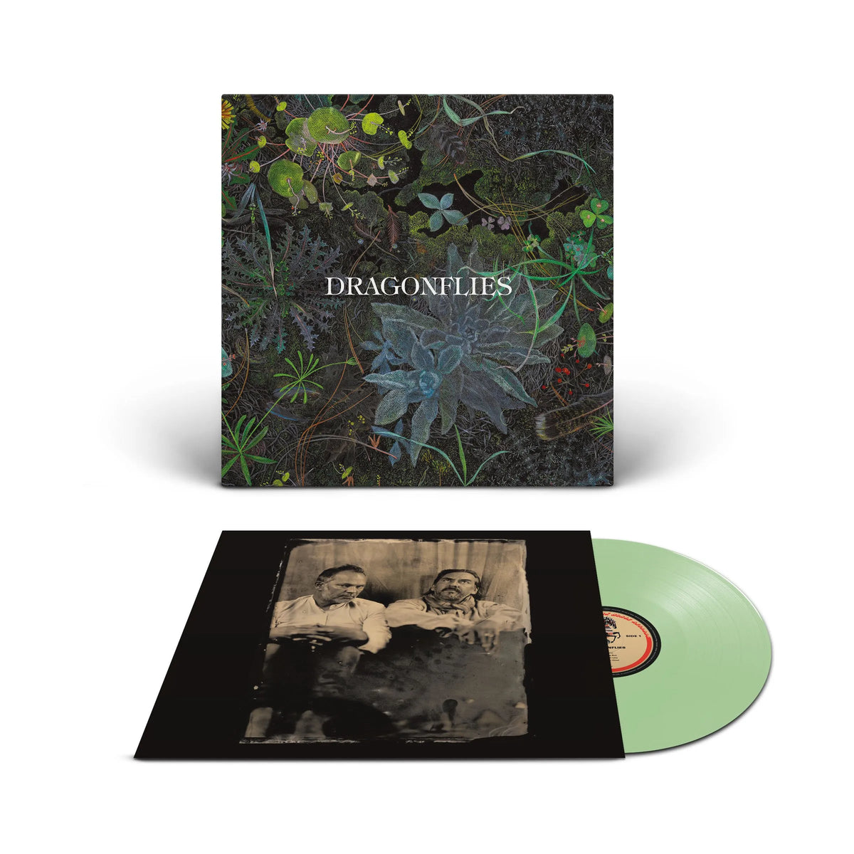 dragonflies south records 2026 coke bottle clear vinyl