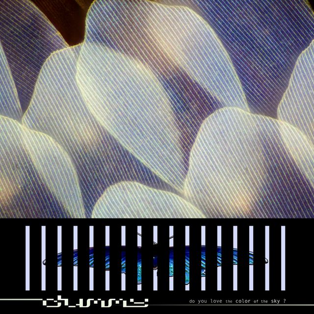 Dummy - do you love the color of the sky? south records 2026