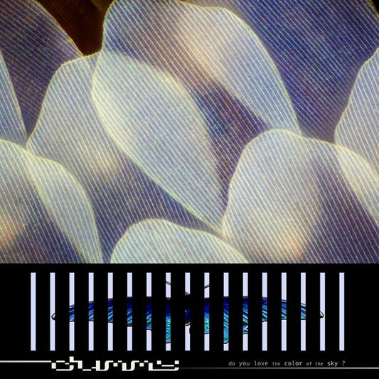 Dummy - do you love the color of the sky? south records 2026