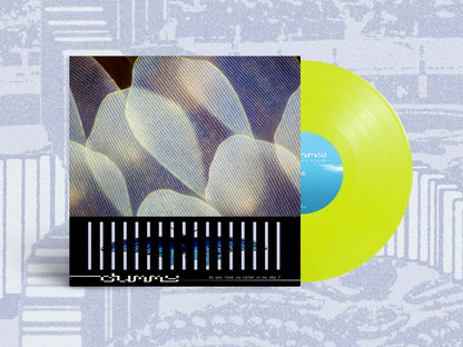 Dummy - do you love the color of the sky? south records 2026 vinyl yellow neon
