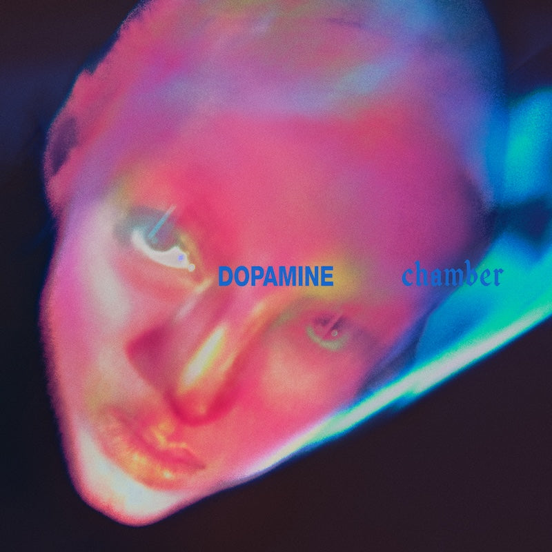 fontaines dc dopamine chamber south records 2026