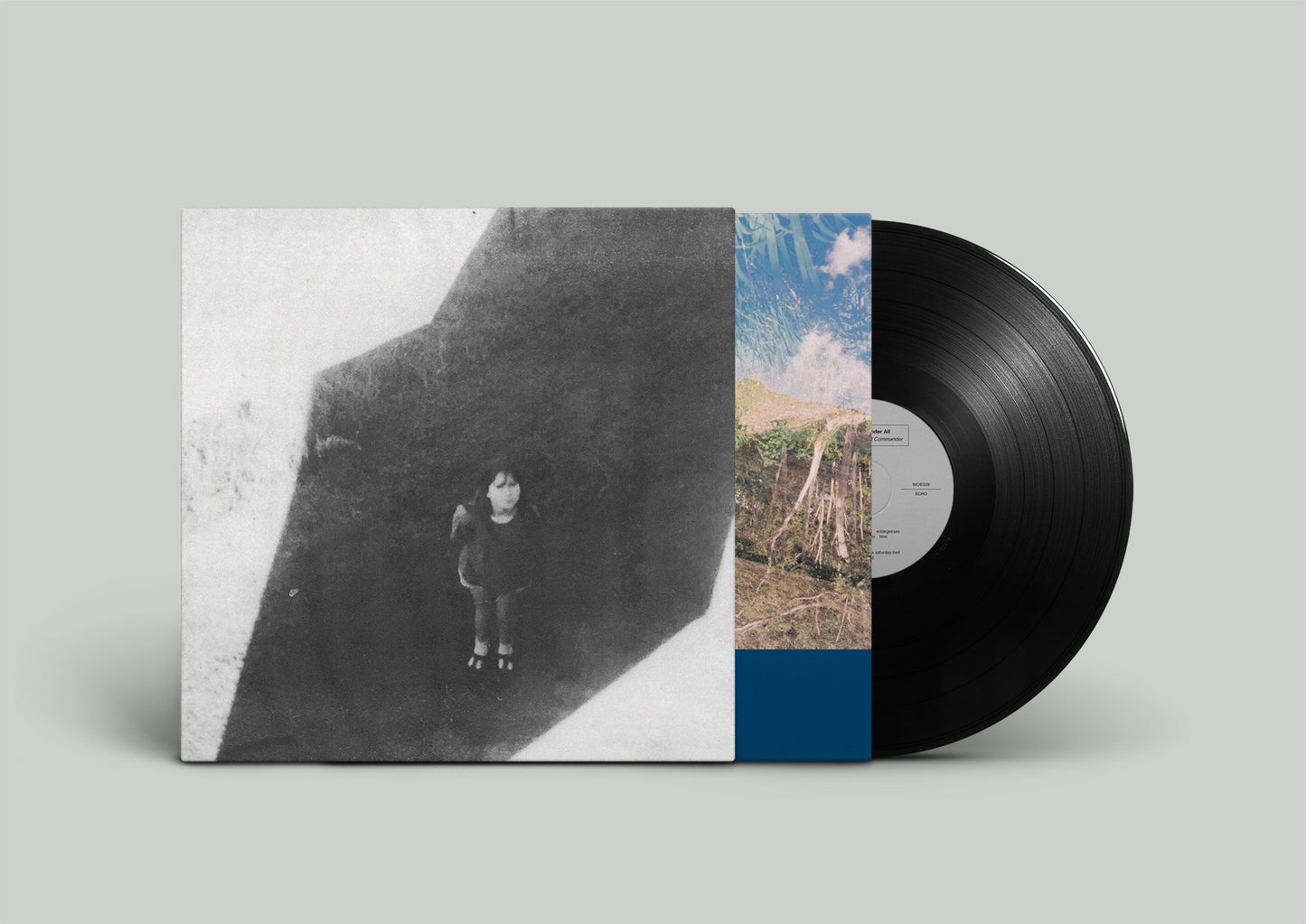 Field Commander Ali - The Next From Field Commander vinyl album