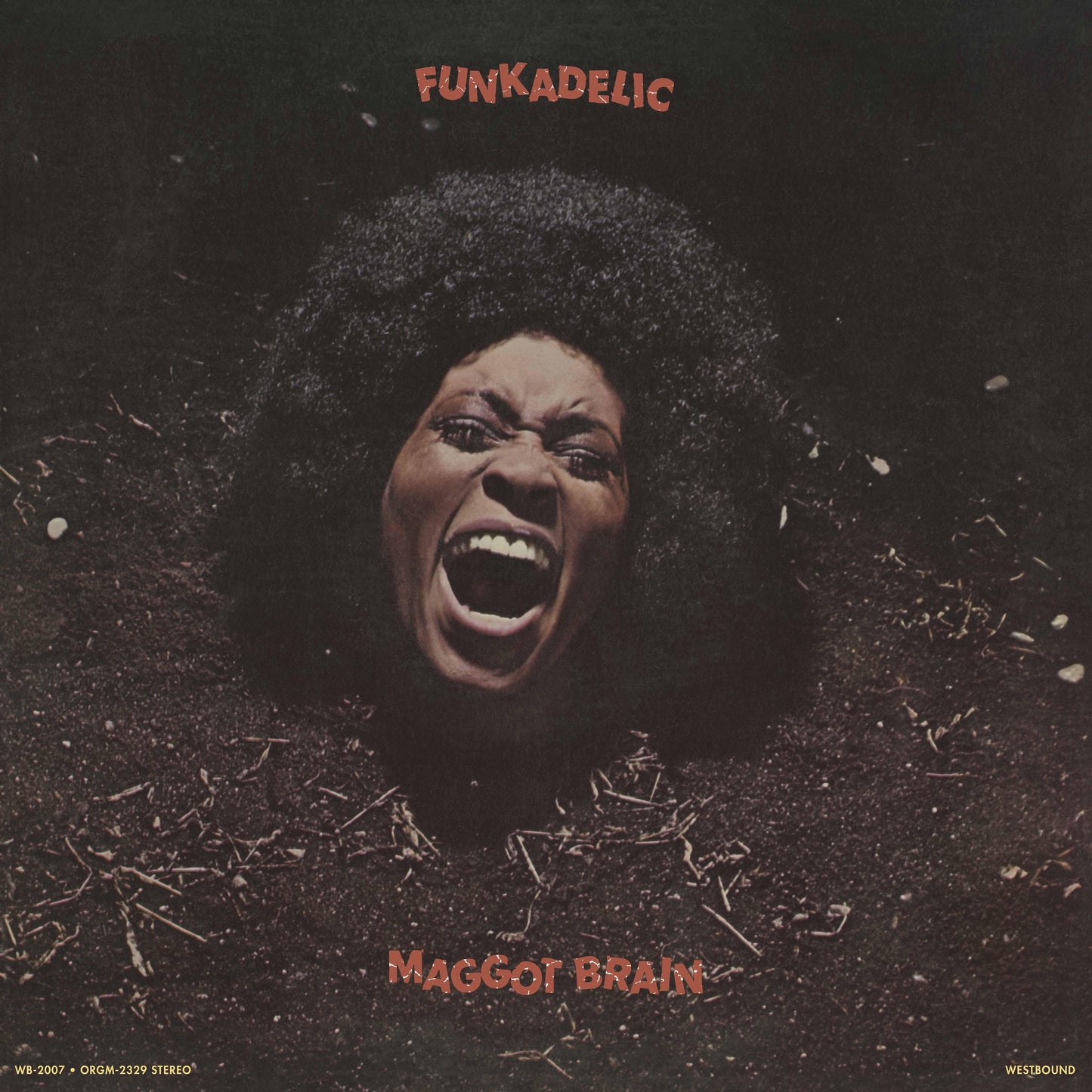 Funkadelic - Maggot Brain south records 2026 reissue