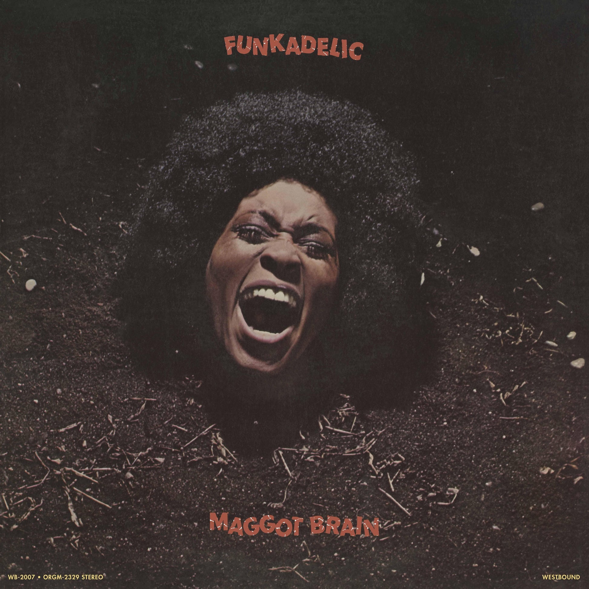 Funkadelic - Maggot Brain south records 2026 reissue