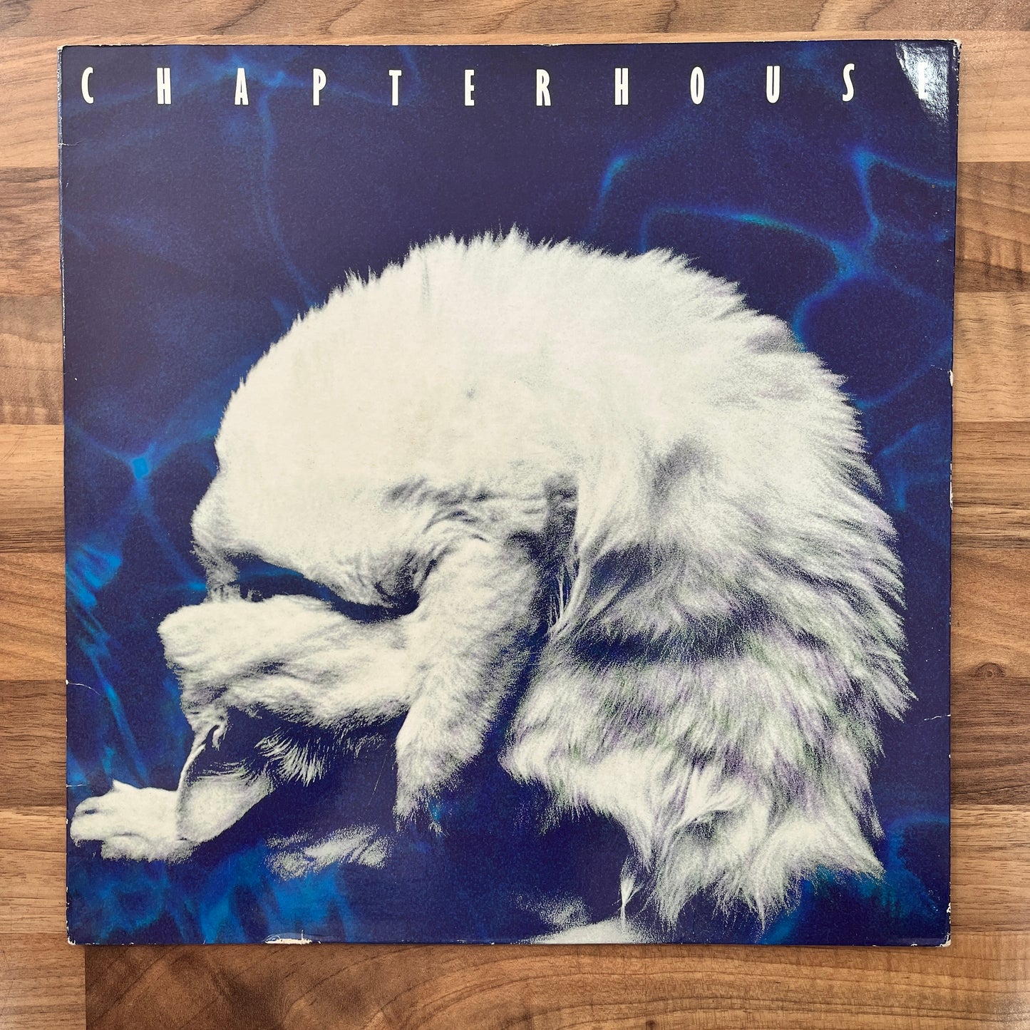 Chapterhouse - Whirlpool