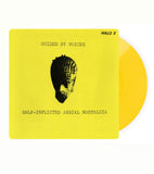 Guided By Voices - Self-Inflicted Aerial Nostalgia
