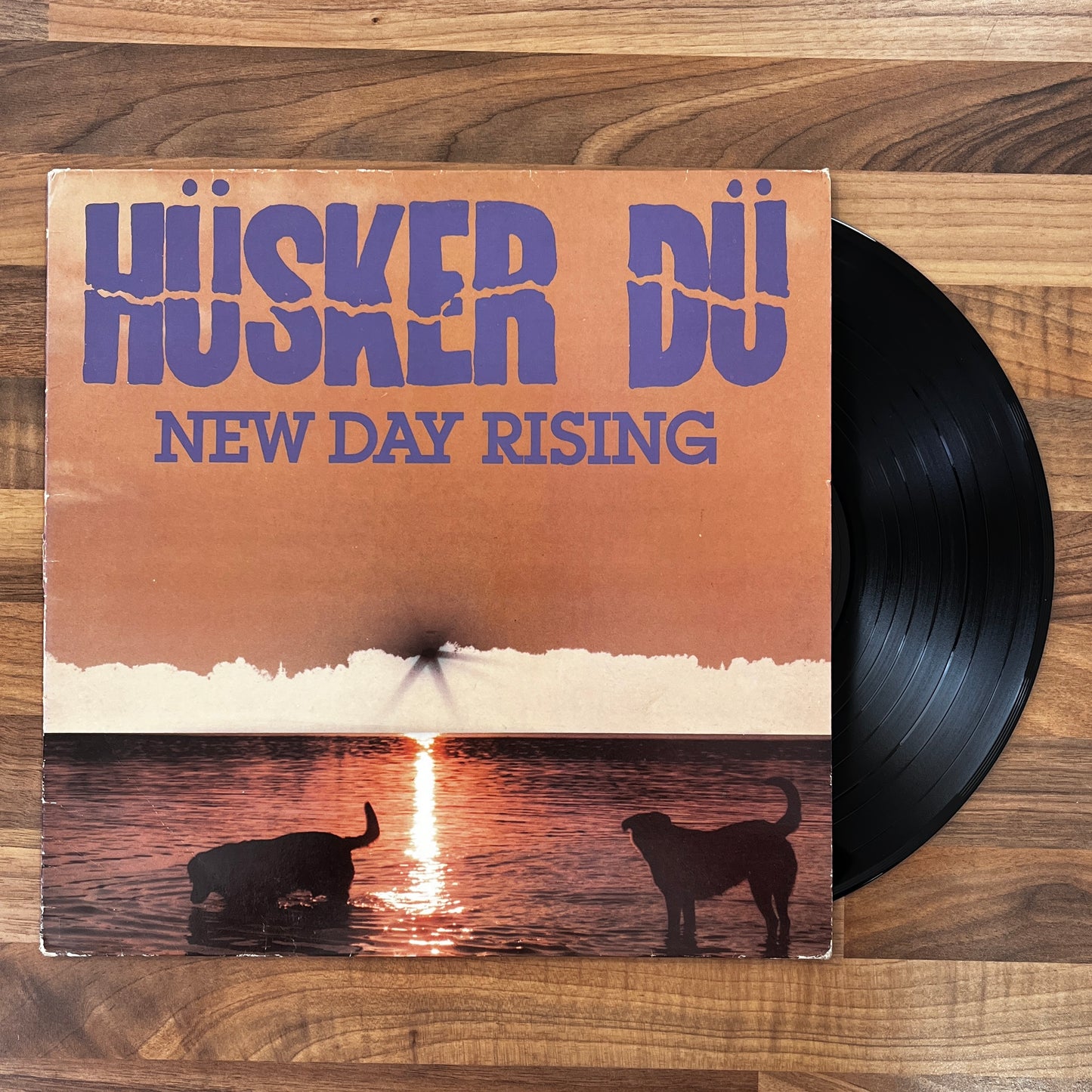 Hüsker Dü - New Day Rising