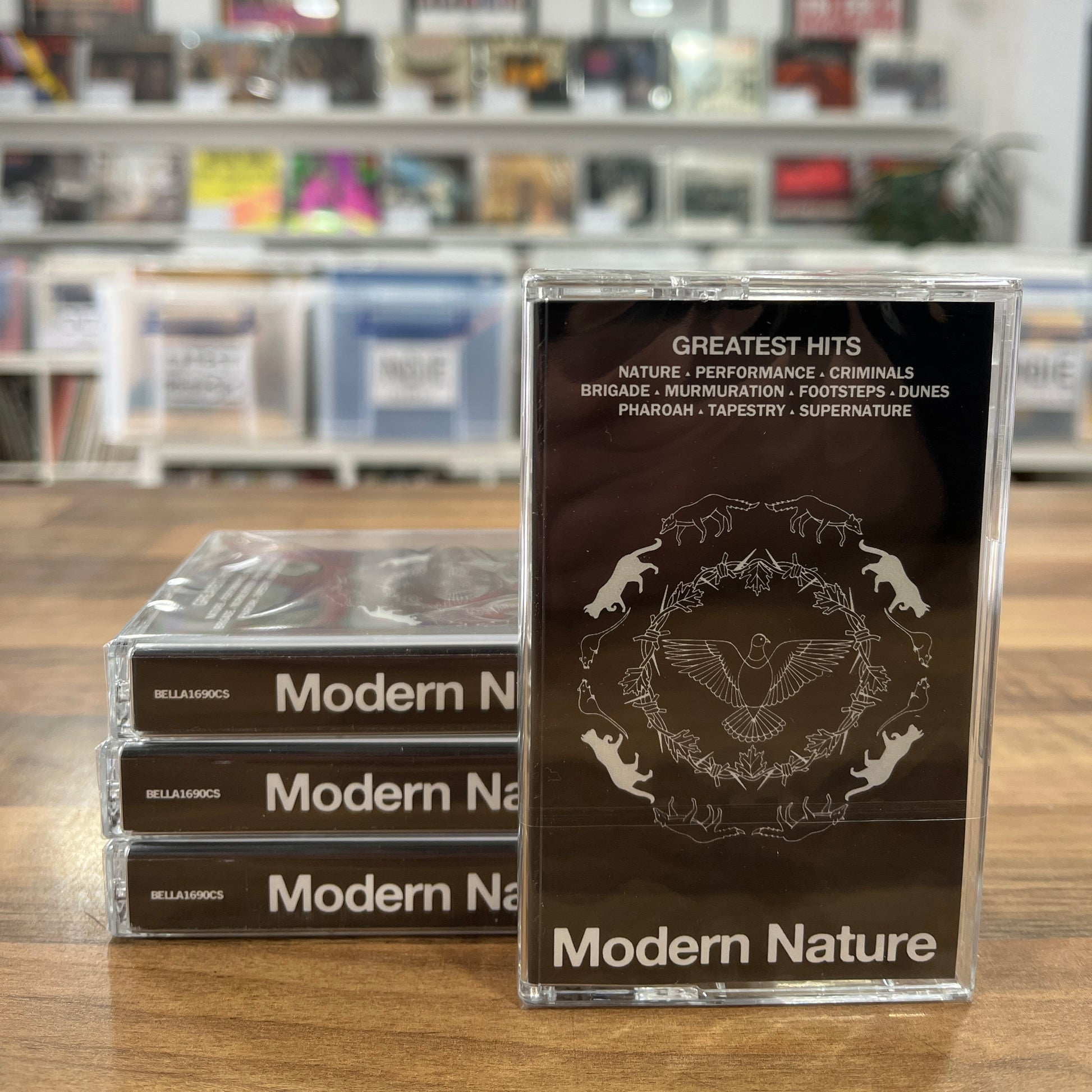 modern nature greatest hits cassette tape south records southend
