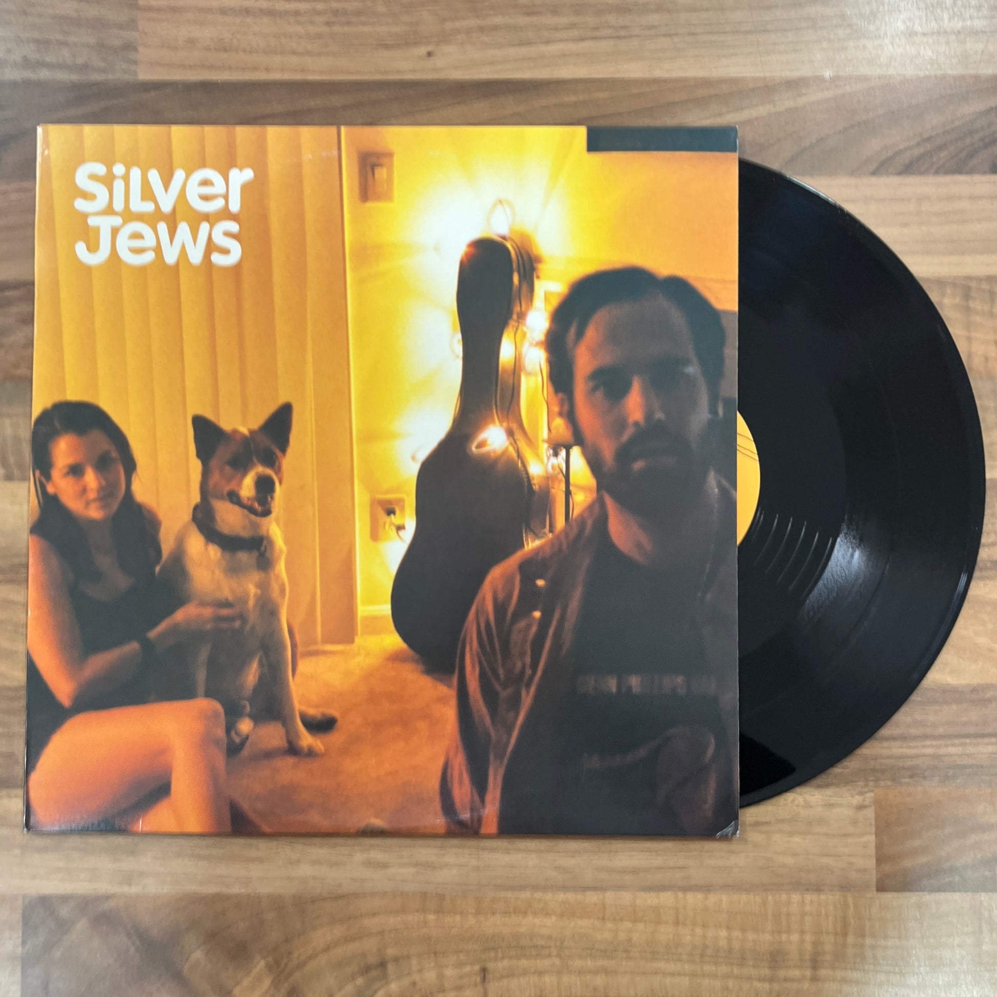 Silver Jews - Tennessee first pressing vinyl south records southend